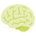 Brain